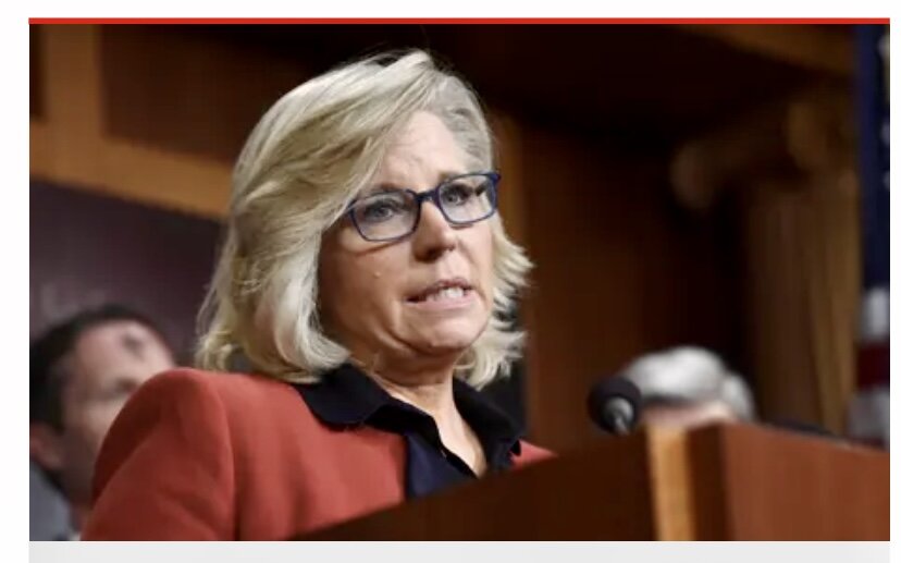 Лиз Чейни на выступлениях Республиканцев.