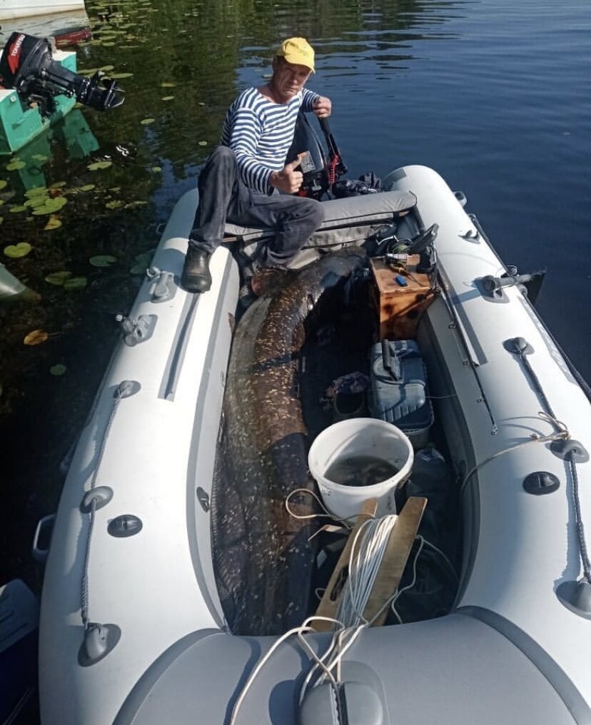 К сожалению, рыбак отказался поделиться подробностями такого улова. Многие пользователи предполагают, что габариты рыбы-монстра являются пугающими, так как ему ничего не стоит напасть на человека.