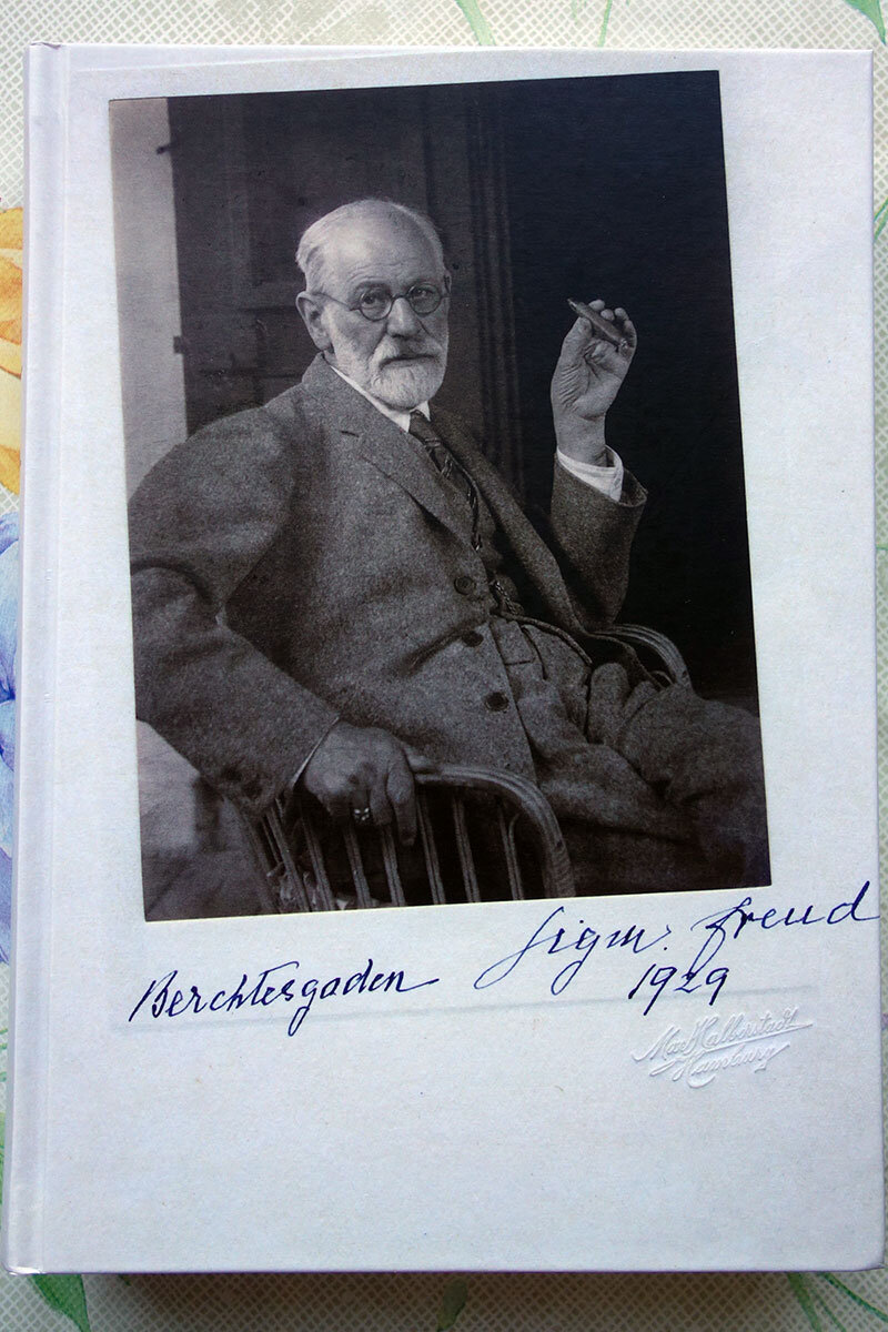 Питер Гай “Фрейд”. Фото личных книг автора канала
