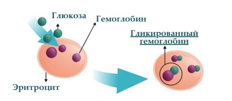 Источник изображения: Яндекс.Картинки