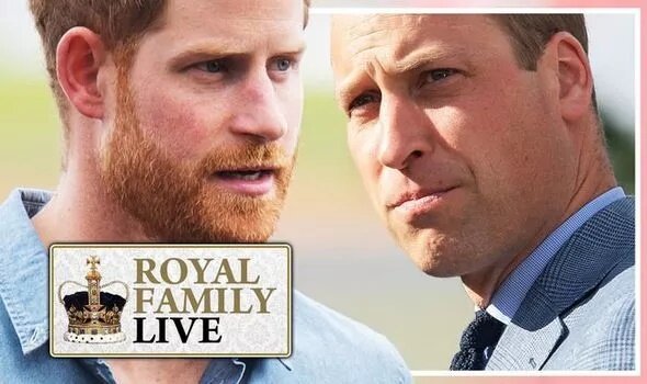 Фото из сети Интернет 