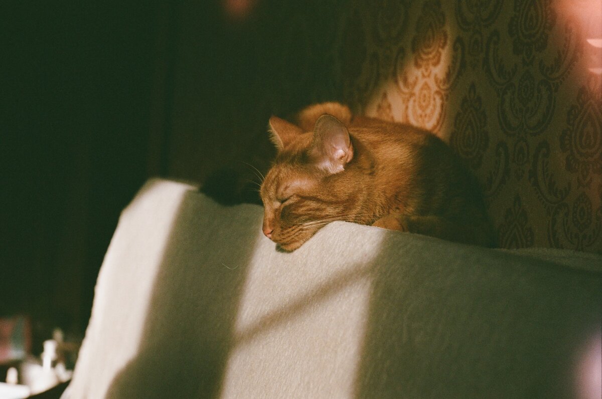 Photo by Ekaterina Gaponova on Unsplash