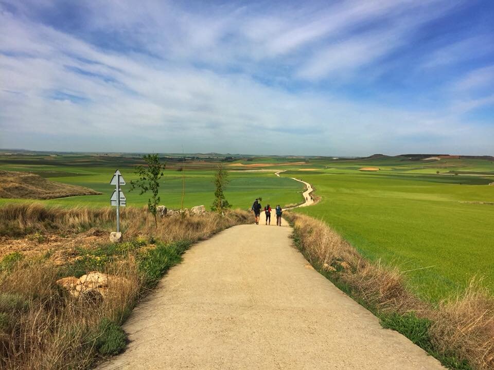 Заглавная фотография всех материалов о Camino