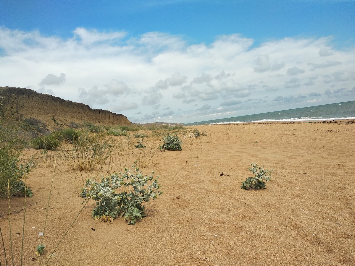 пляж в яковенково крым