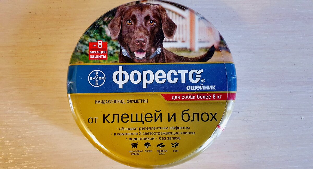 Так выглядит упаковка официально продаваемого в нашей стране ФОРЕСТО!