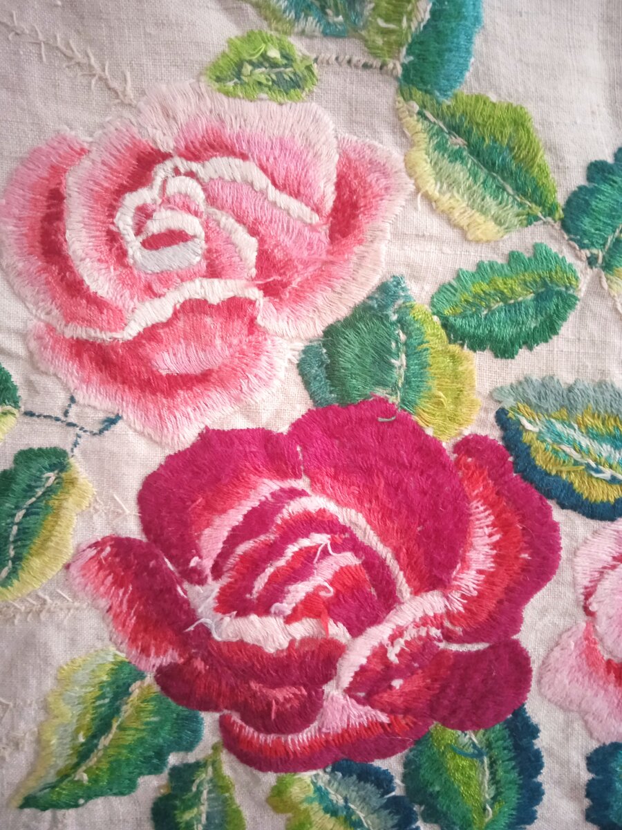 розы цветут уже больше 50 лет.