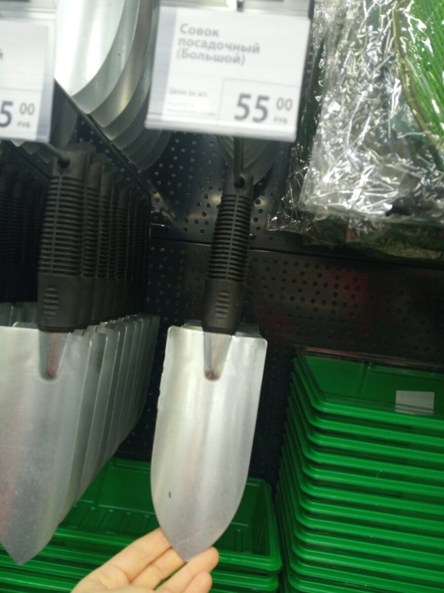 Фото из личного архива