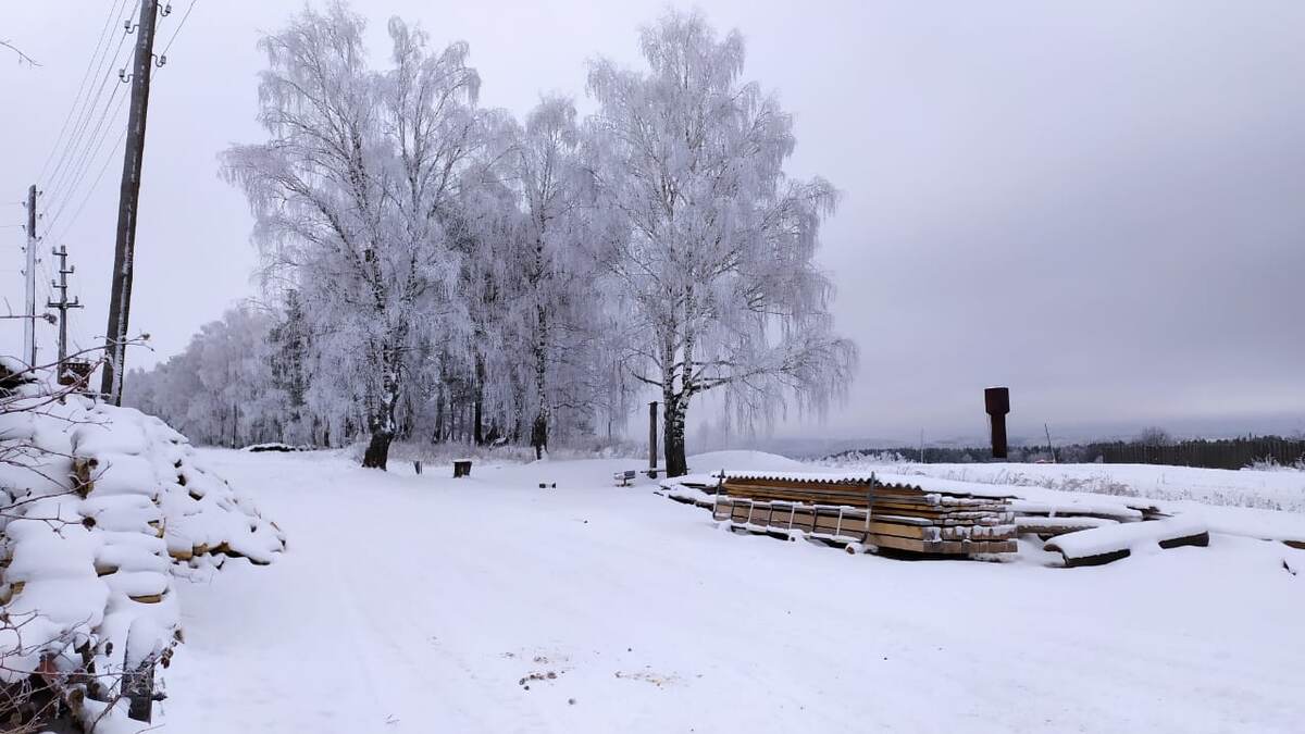 Жаль солнышко не появилось.