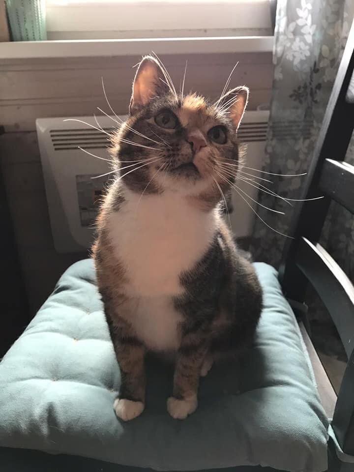 Нелли, 5 лет, ищет семью