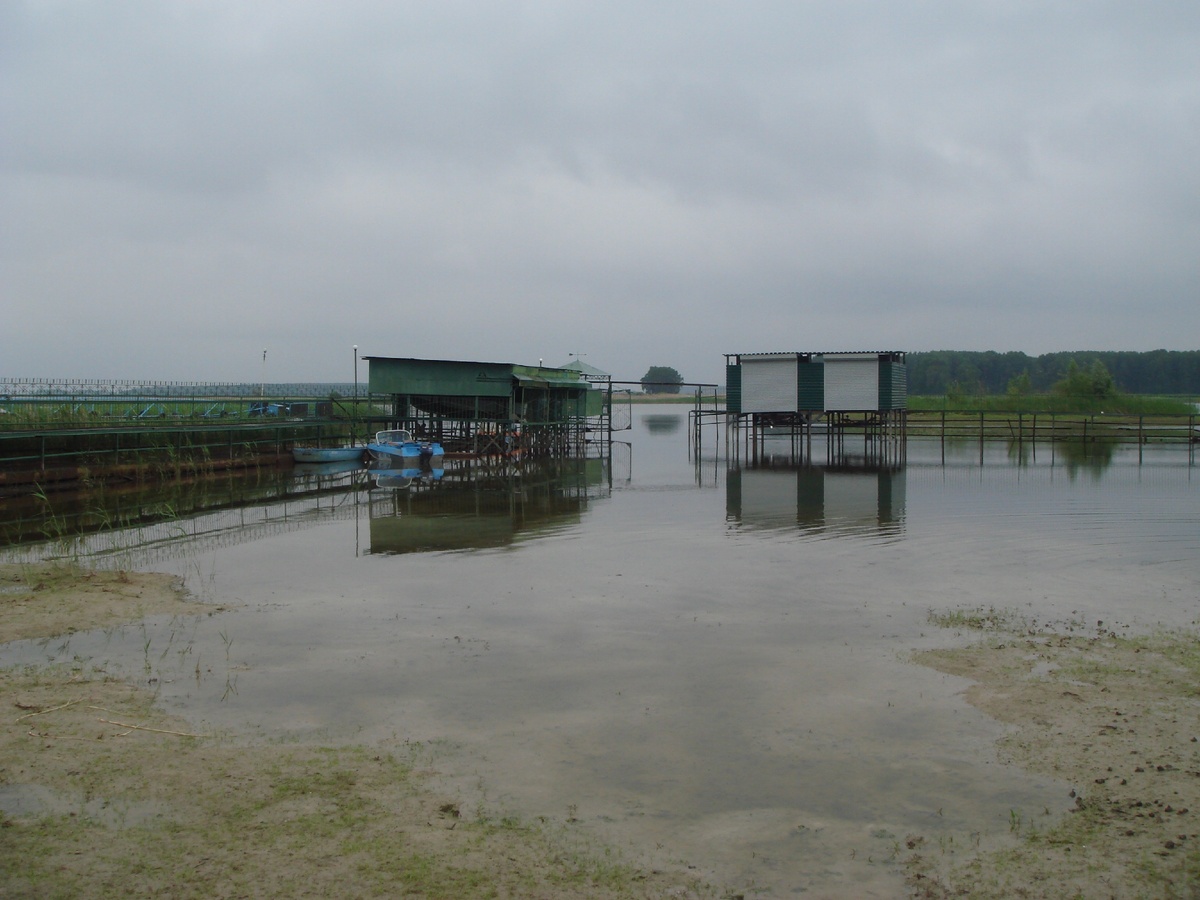 Лодочная база в Пичугах.