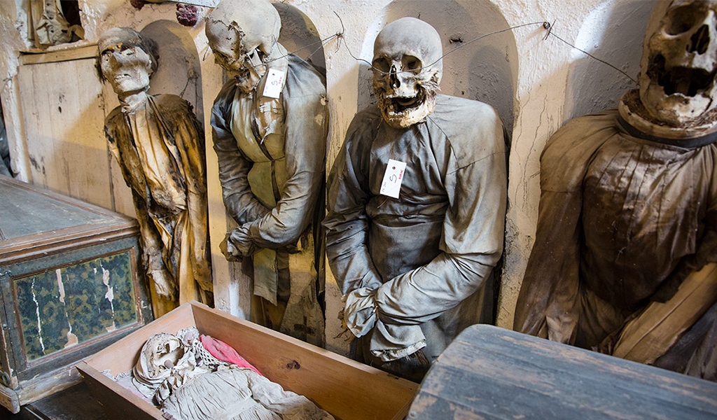 Фото внутри. Источник фото — сайт: https://clck.ru/UEGGa