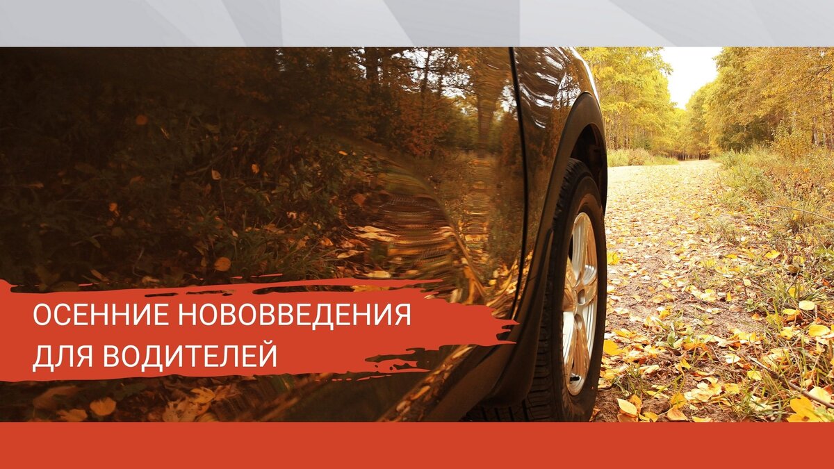источник: https://ns.parts/ru