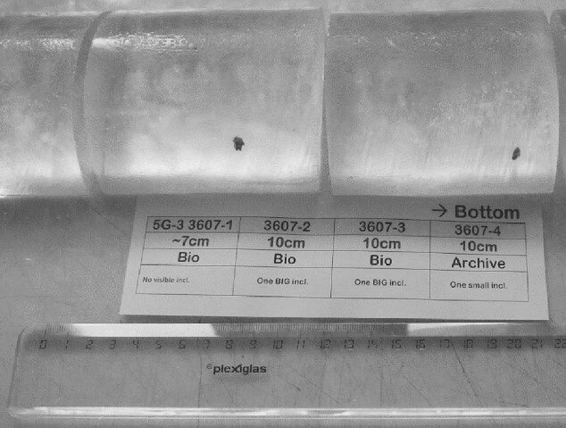 Керн отобранного аккреционного льда озера Восток. Хорошо видны минеральные включения. Фото: Bulat et al., 2018. DOI: 10.1134/S0031030118100076