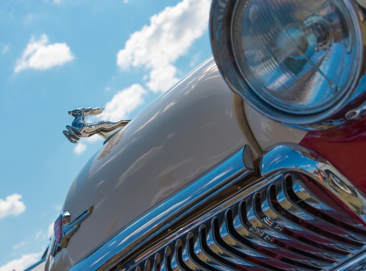 Изображение Andrew Khoroshavin с сайта Pixabay 