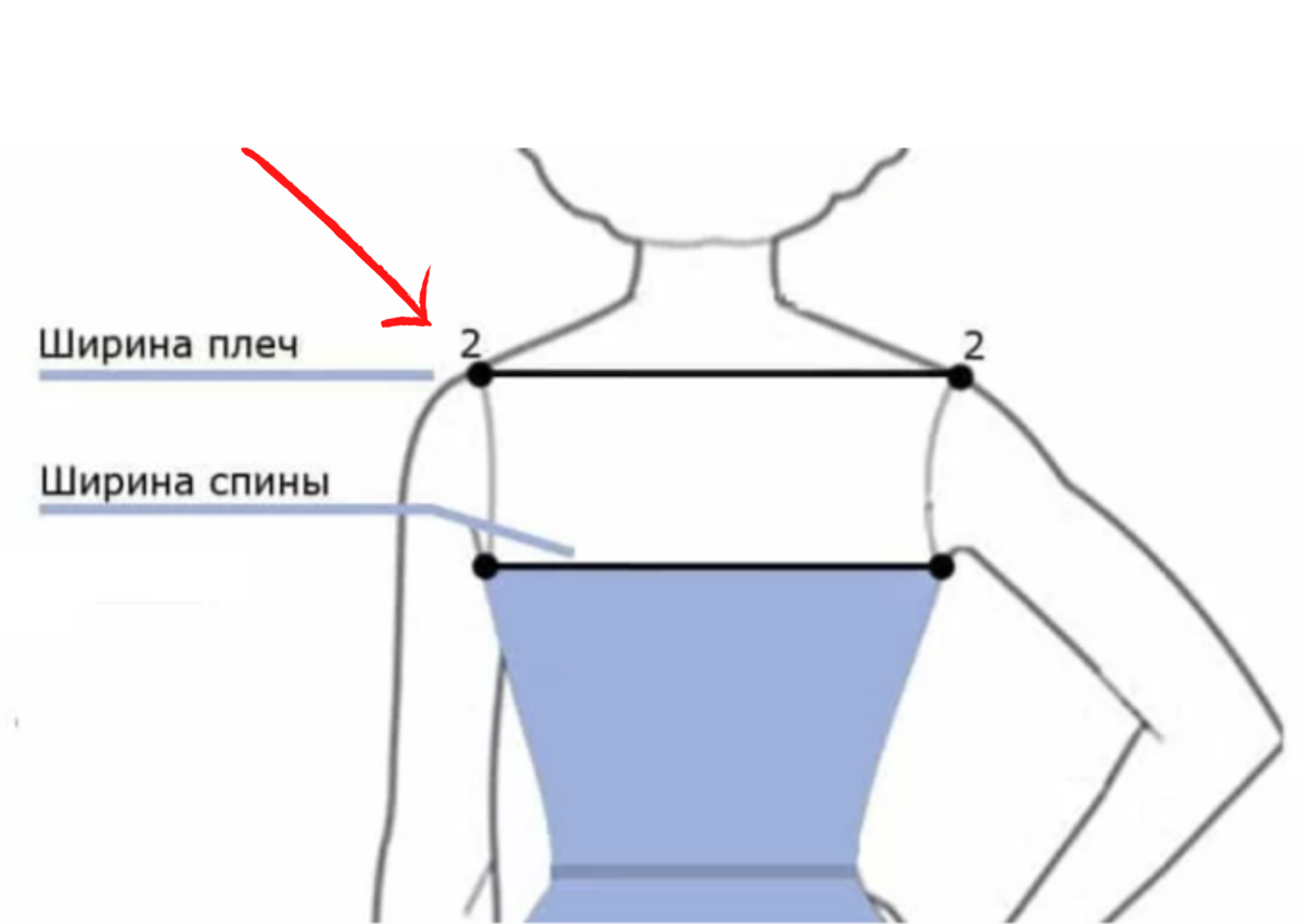 Определи длину большего плеча. Мерка ширина плеч как правильно снять. Как снять мерку ширина плеча. Снятие мерок ширина плеча.