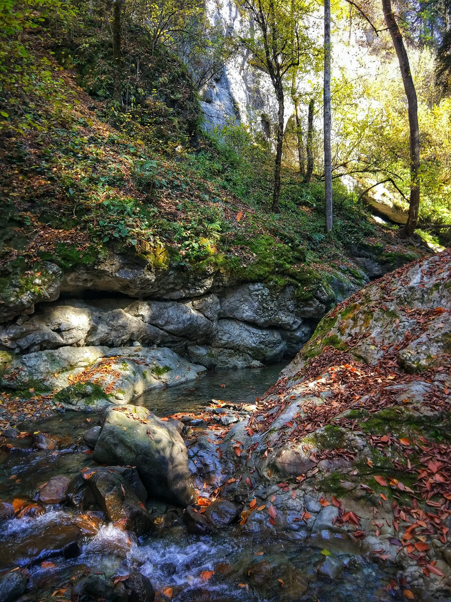 Ущелье реки Никитинка. 