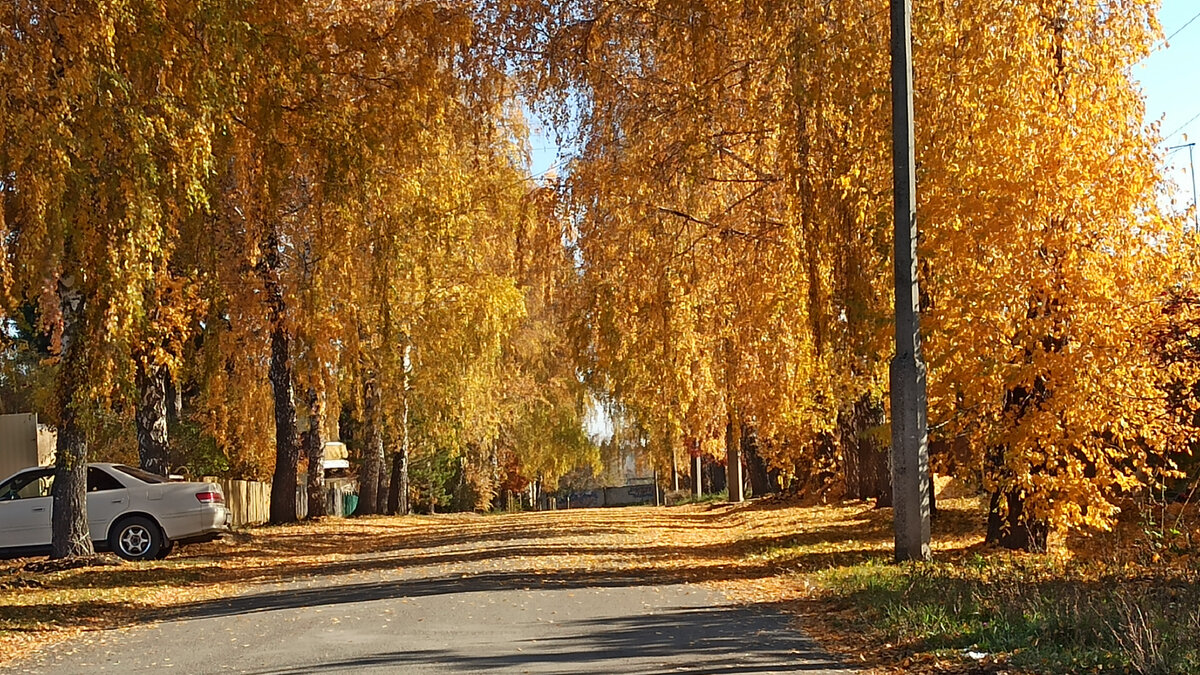 Сельская улица