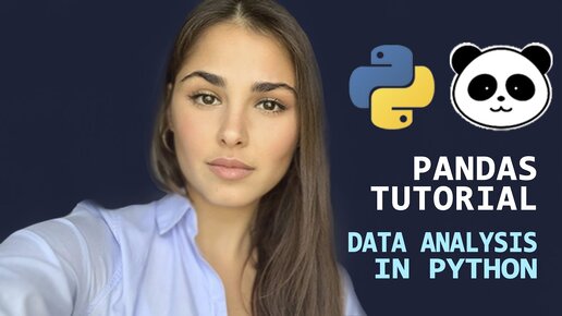 Python Pandas Tutorial // Reading data, Info, Describe, Isnull, Plot