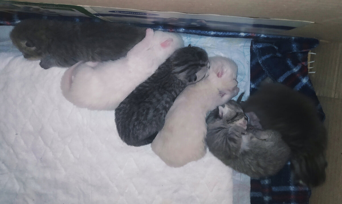 Здоровый сон