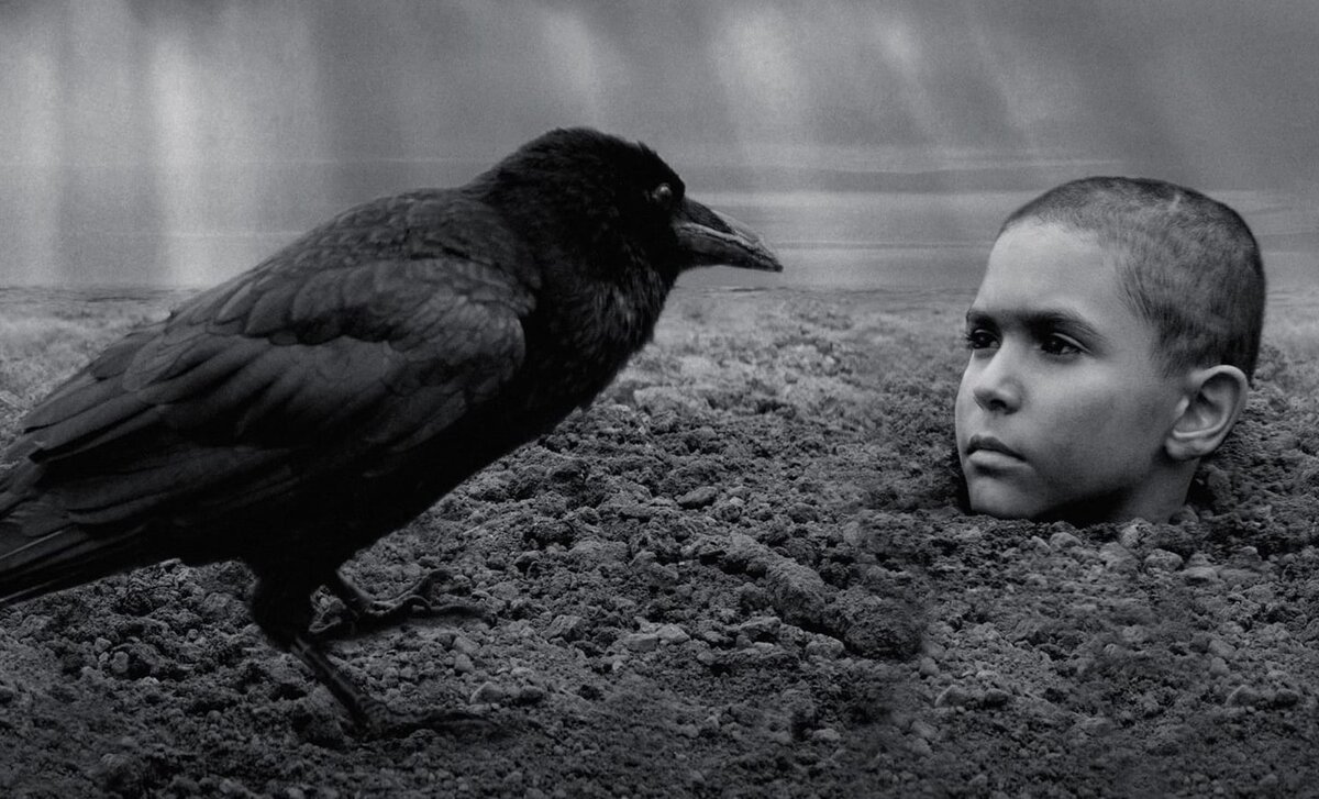 Кадр из фильма «Раскрашенная птица» 