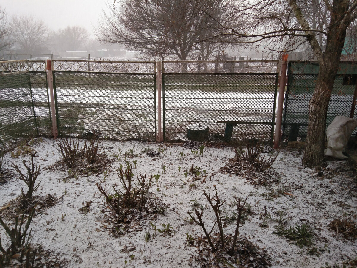 Вот такой вид меня ждал с утра :-) Здесь и далее фото автора.