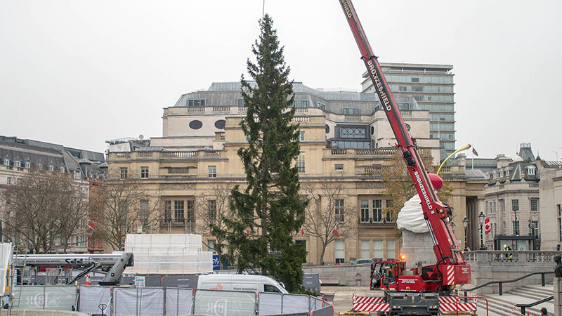 ФОТО: MARTYN WHEATLEY / GLOBALLOOKPRESS 