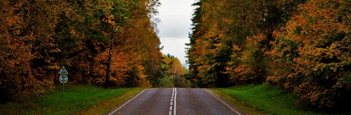 Интересные факты :)