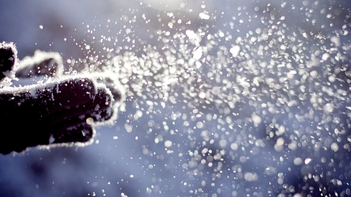 (из открытого источника)