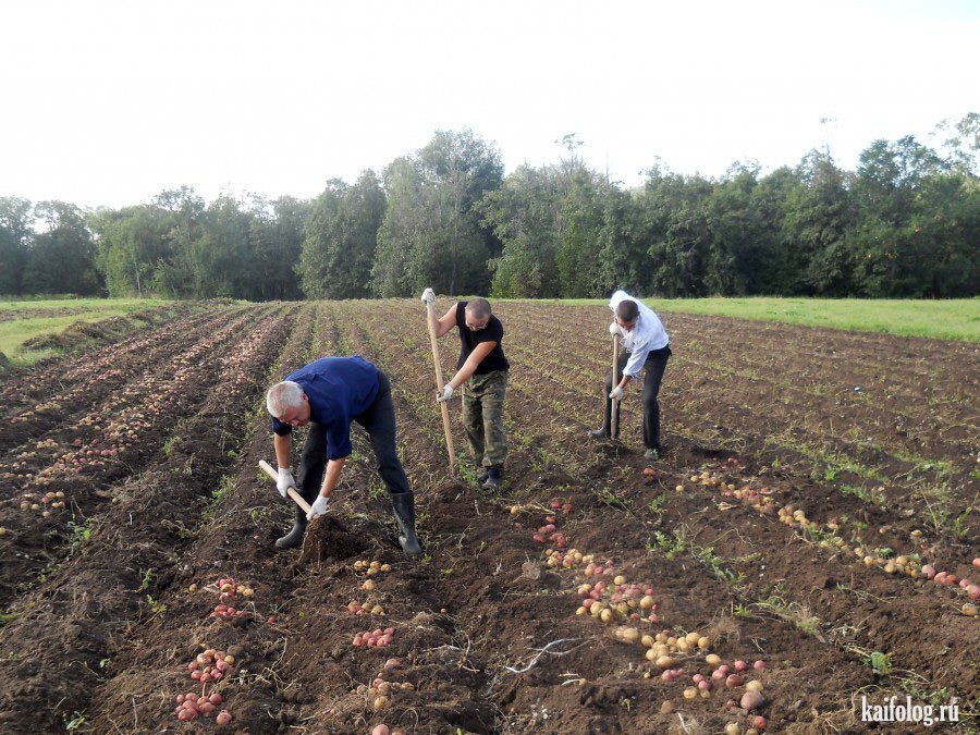 Сплошной отдых!