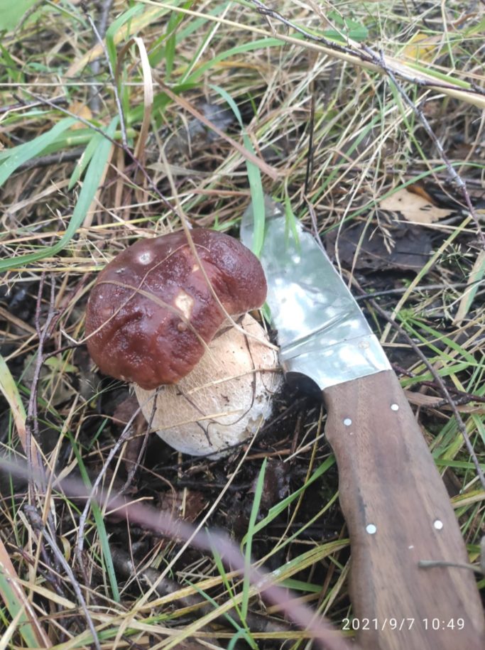 Автор фото: Андрей М.