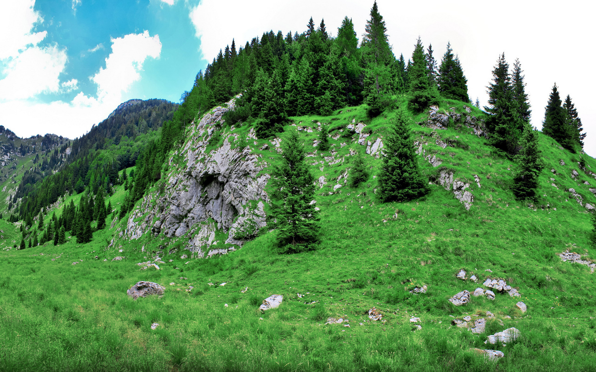 Иллюстрация из Яндекс картинок