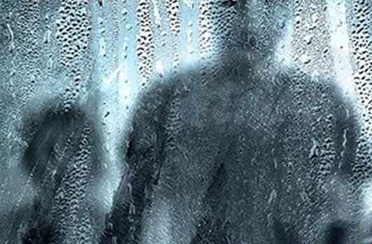 -А жить теперь мы будем с вами и путаться всё время под ногами!..