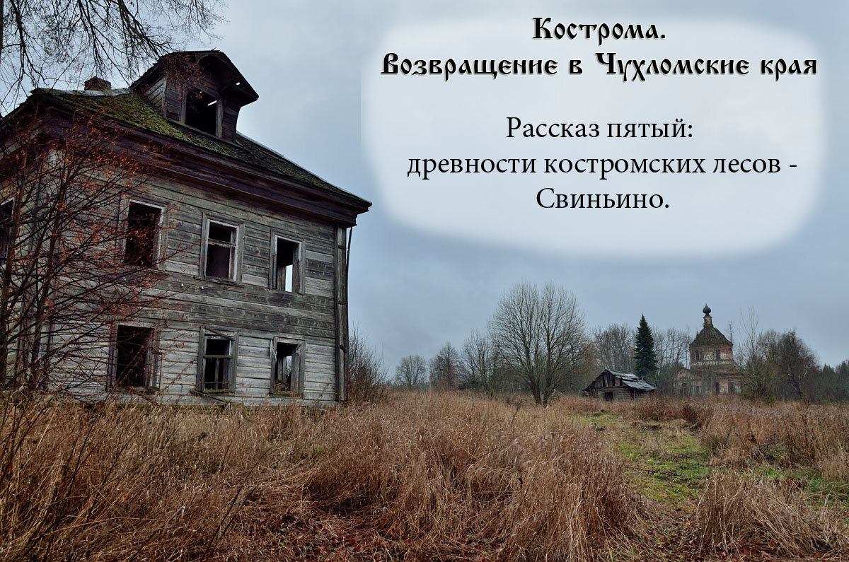 Старина 5. Свиньино Церковь. Свиньино Галичского района Костромской. Рождественская Церковь Свиньин Галичский район.