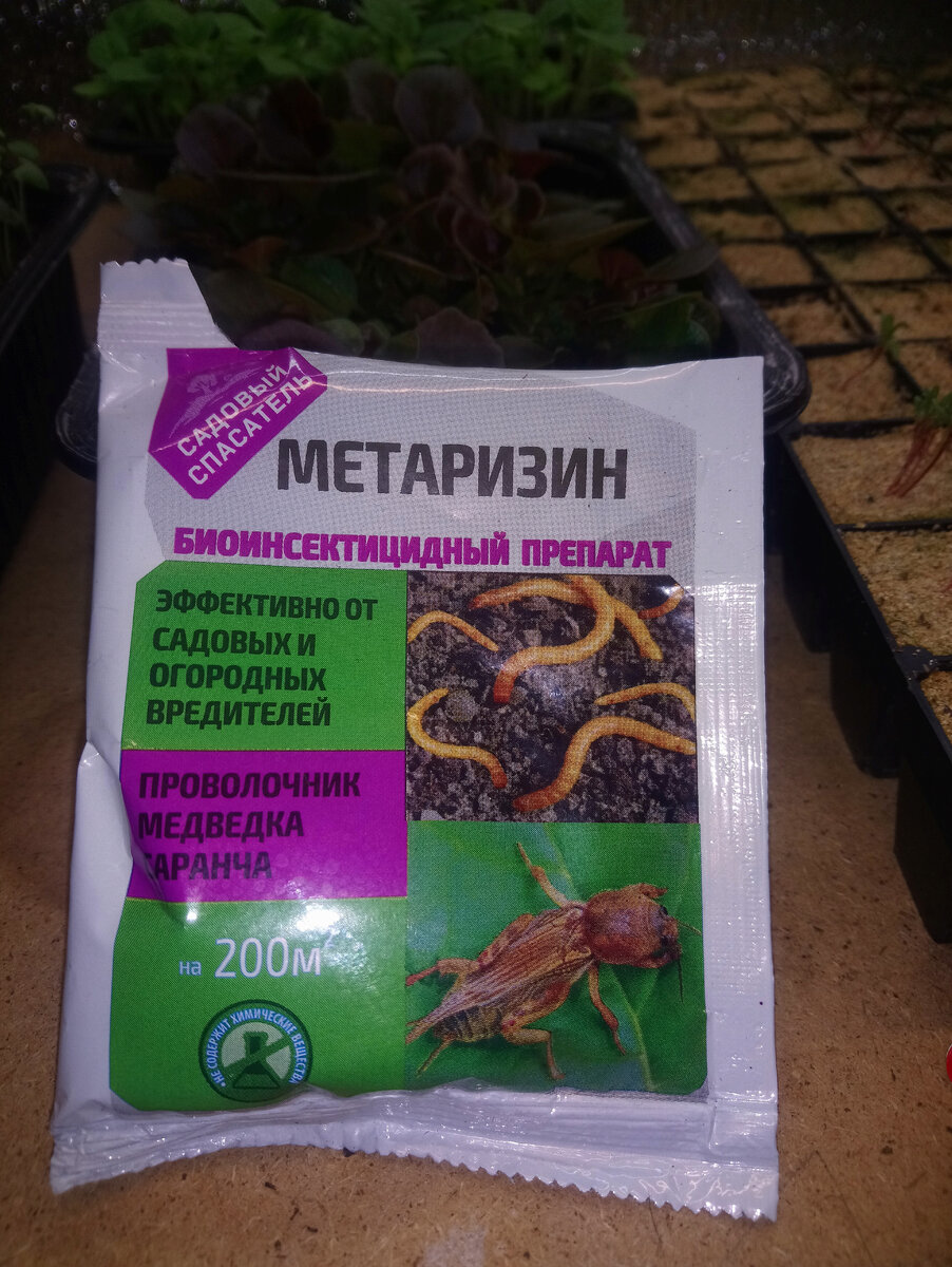 Наше спасение.