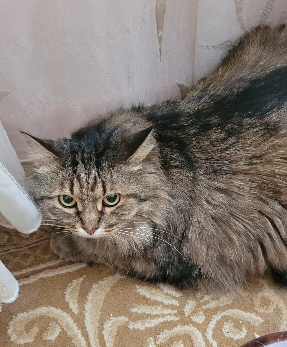 Но разговаривает не со всеми!