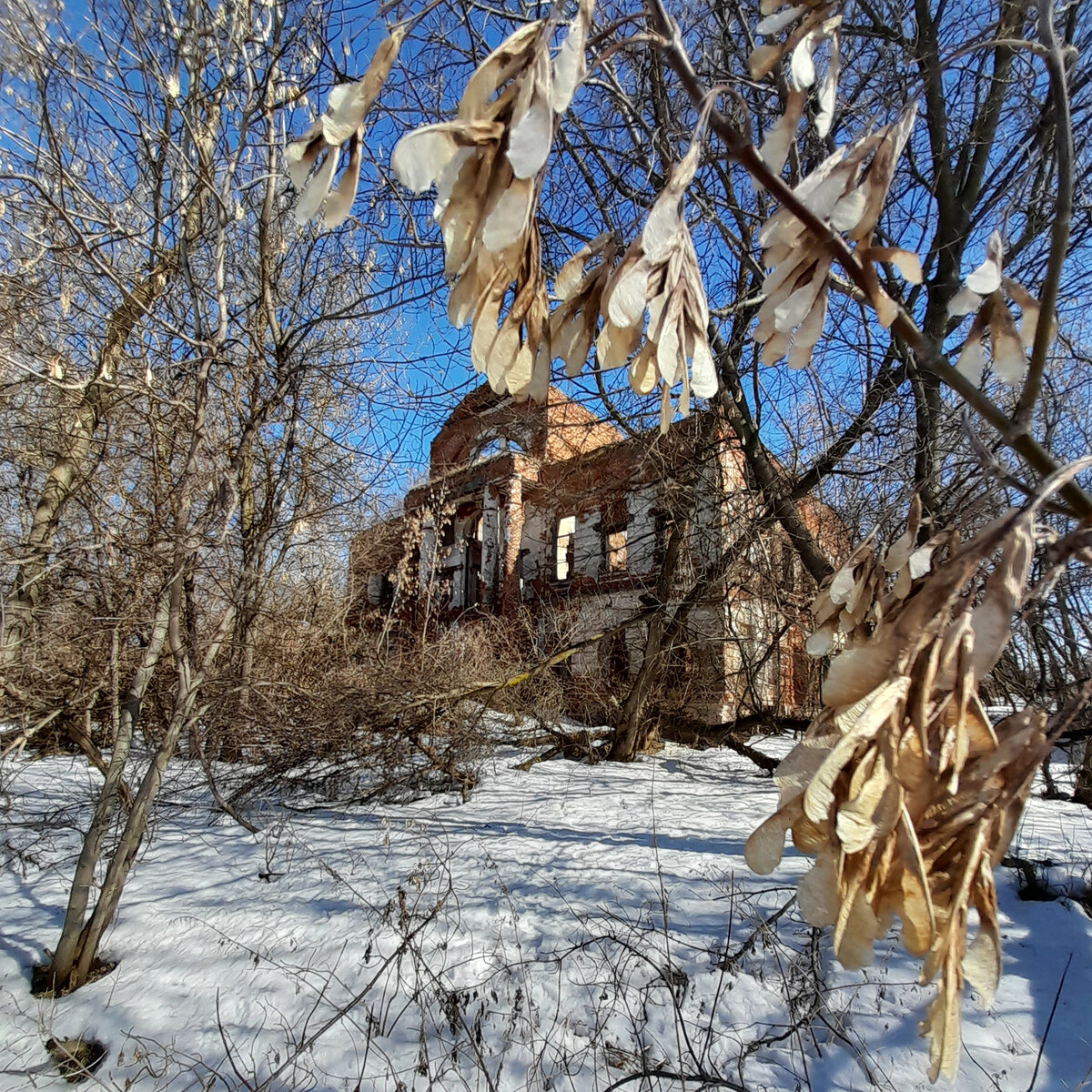 С погодой нам повезло! Усадьба, несмотря на своё общее депрессивное настроение, выглядела солнечно.
