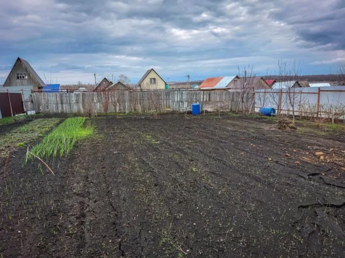 Майские праздники – самое время для наведения порядка в саду (источник фото: prufy.ru)