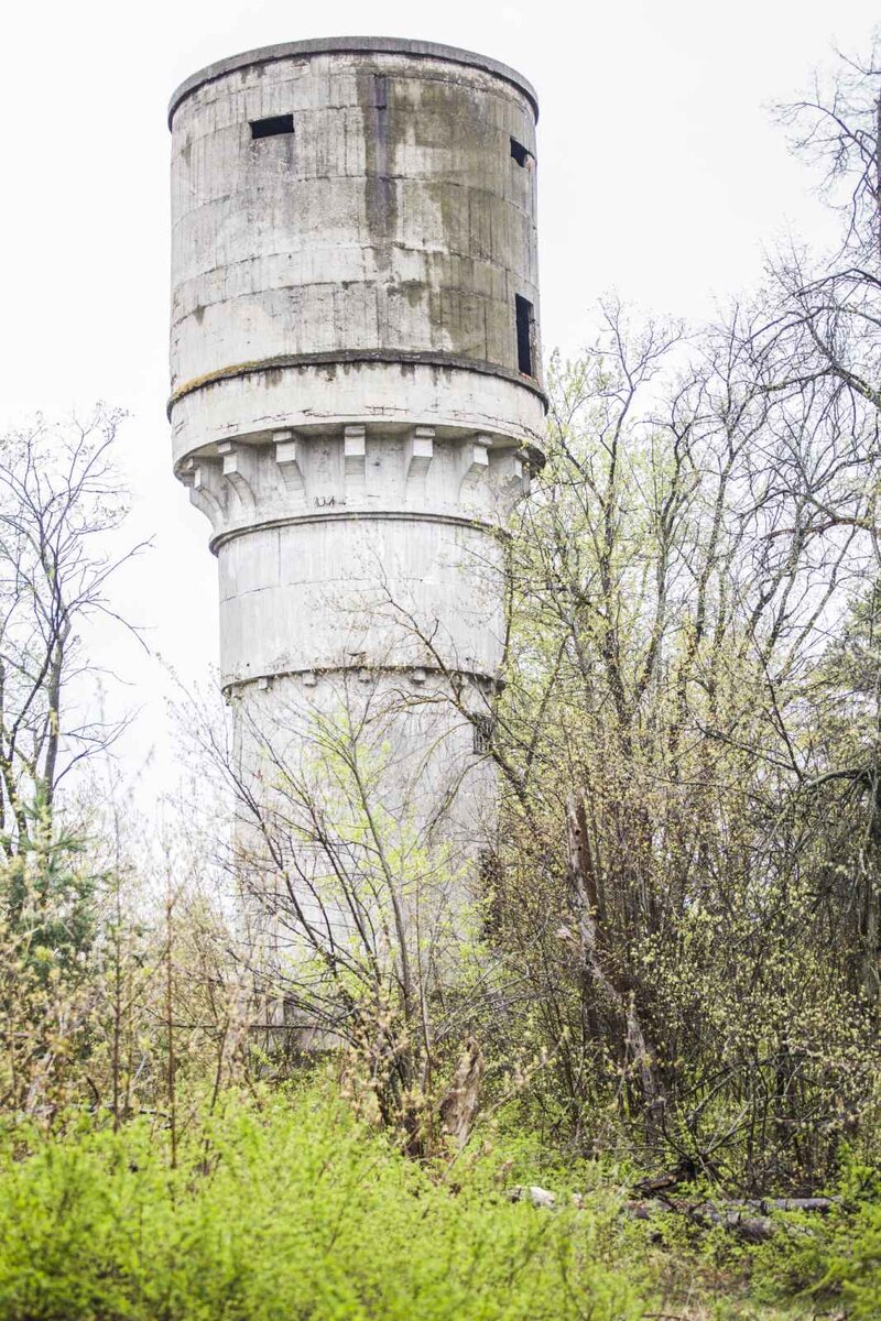 Фото Дмитрий Анатольевич