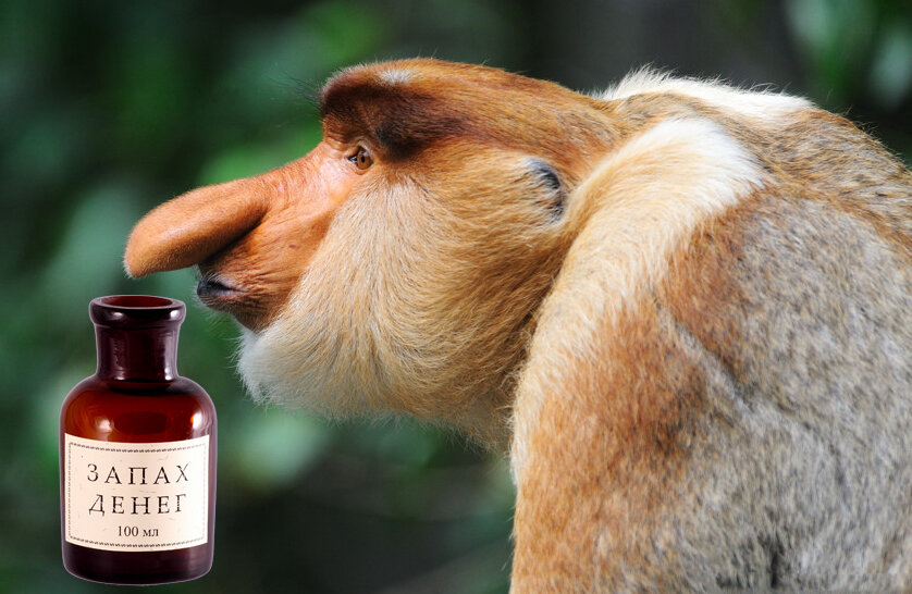 Пример креатива для продажи «Волшебных склянок» для магазина авторских подарков «Бюро находок».