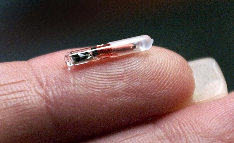 Источник https://geekville.ru/wp-content/uploads/2020/08/microchip_rhonawise_getty_0.jpg