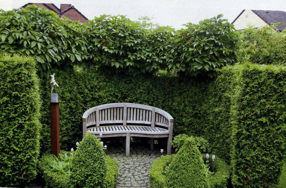 Яндекс-картинка