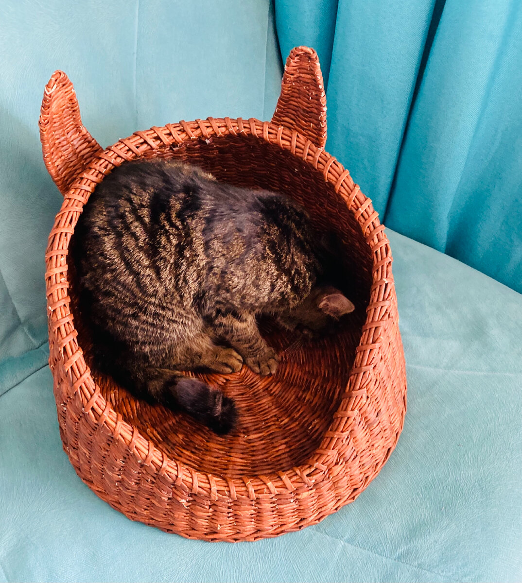 Лежанка с ушками для кошек, сделанная из бумажной эко-лозы, ручная работа…