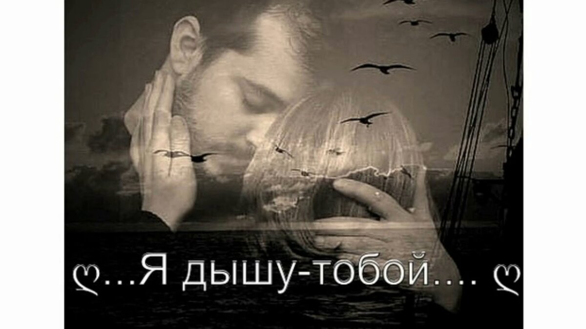 я живу тобой я дышу тобой текст песни