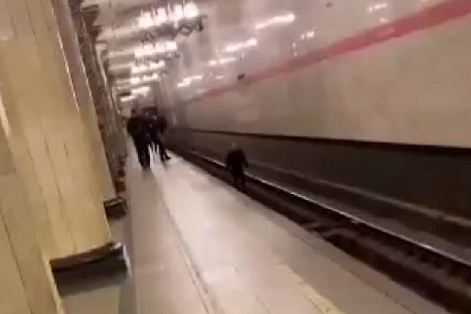     Хулигана передали в руки полиции. Фото: t.me/pitertop