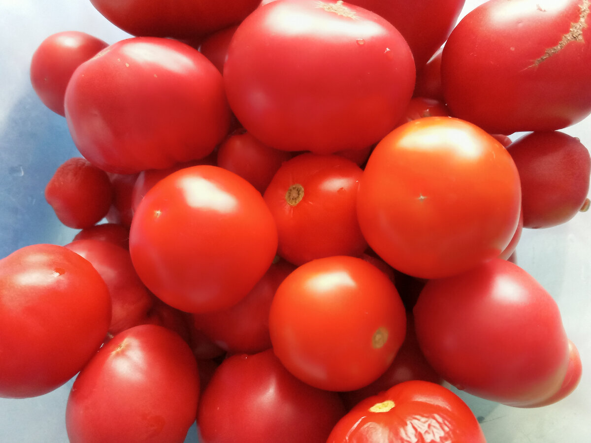 Все в банку! Овощное лечо на зиму, просто и вкусно!