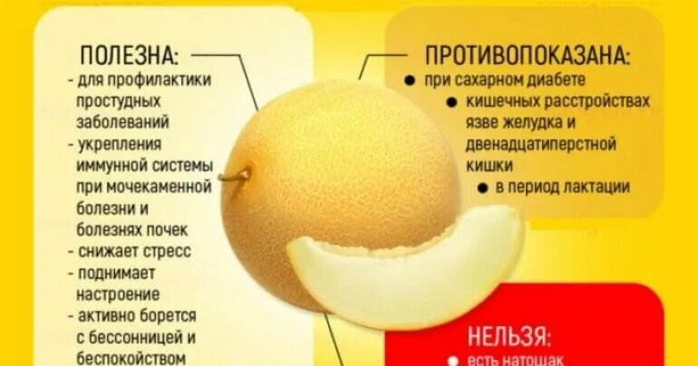 Коротко о пользе и вреде дыньки
