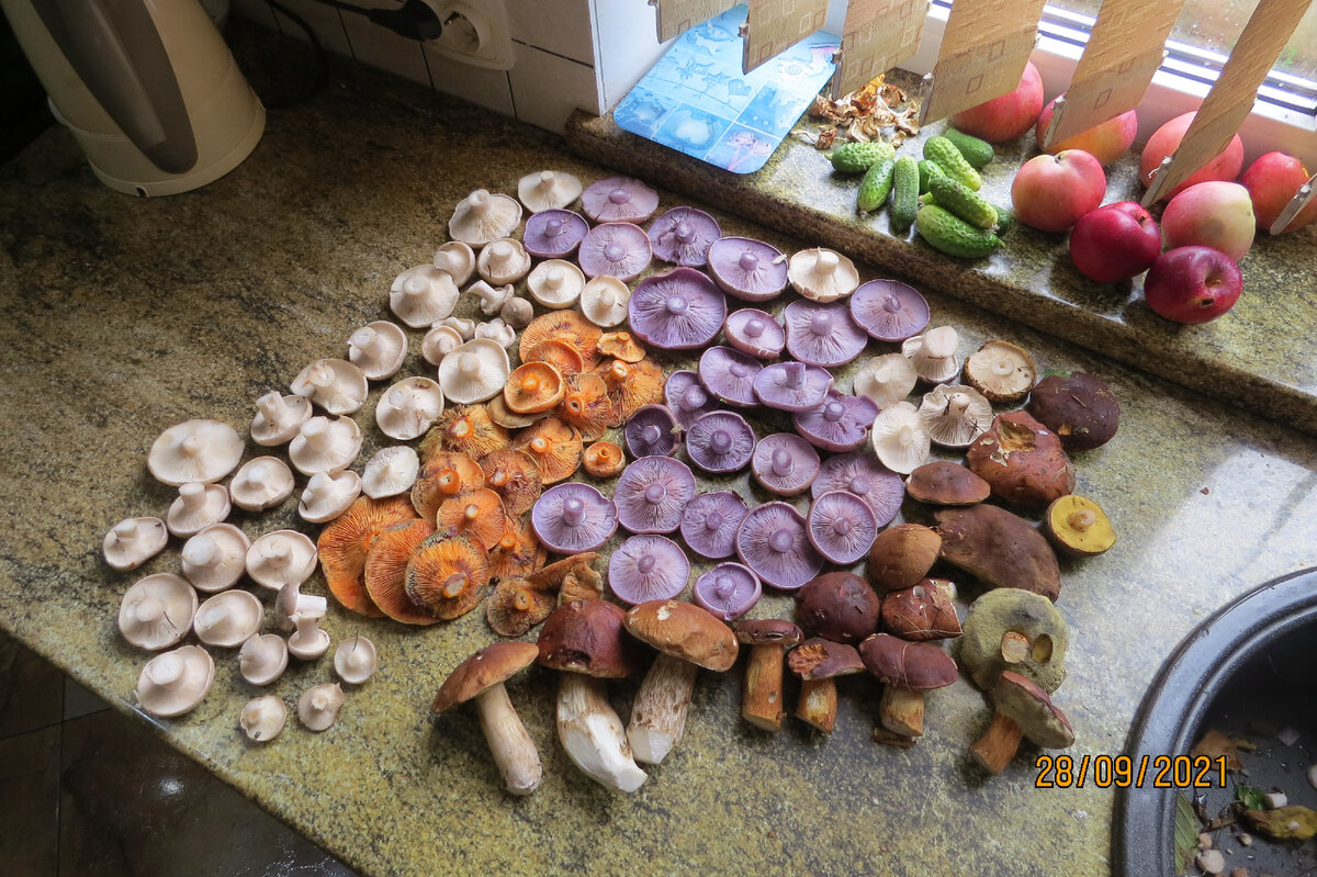 В прошлом году экспериментировала, пыталась выяснить - какая же вкуснее, дымка или синичка. 