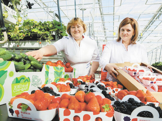     Фото: пресс-служба правительства МО