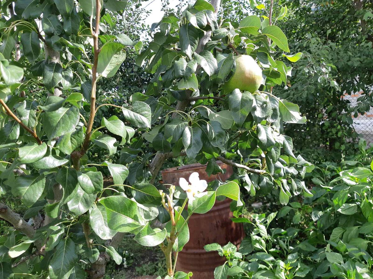 Фото автора. Листайте вправо