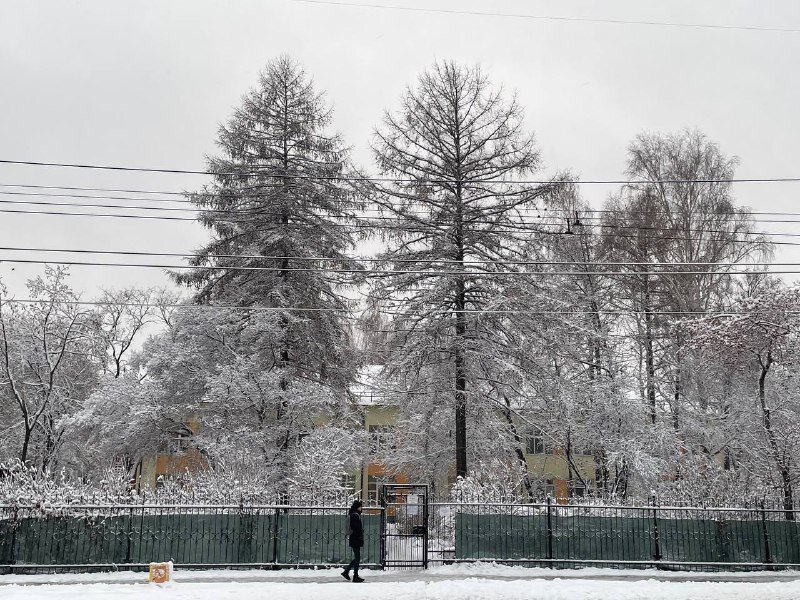 Свердловский синоптик. Зима пришла Подмосковье. Зима в городе снова.